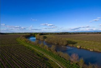 Weingut in Chile zu verkaufen