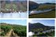 Weingut mit Kelterei in Chile zu verkaufen